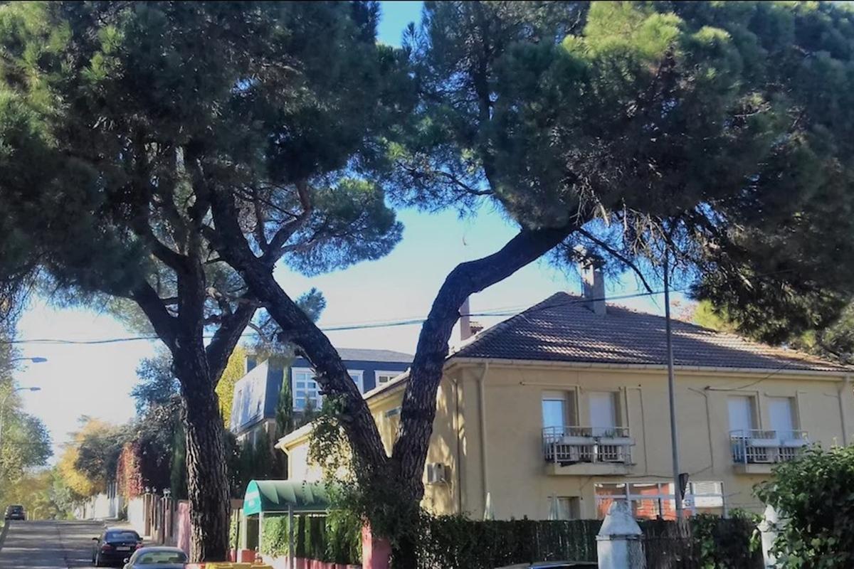 Hostal Aravaca Garden Madrid Luaran gambar